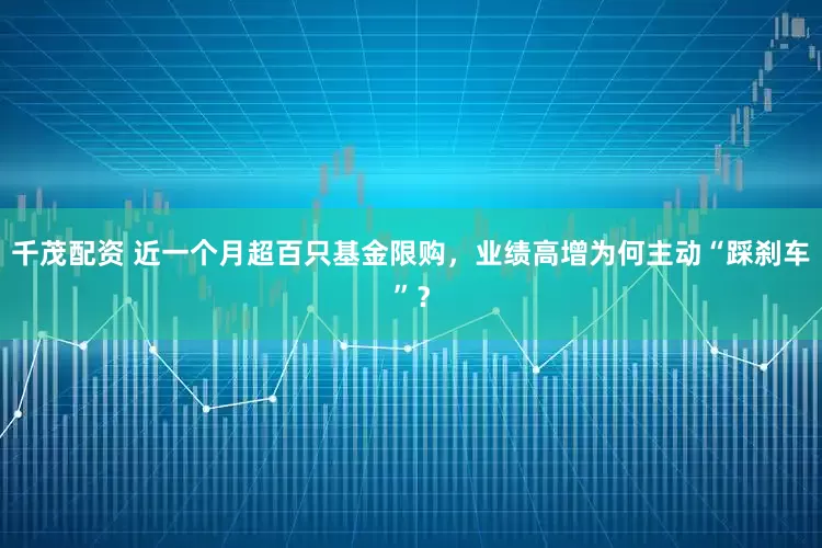 千茂配资 近一个月超百只基金限购，业绩高增为何主动“踩刹车”？